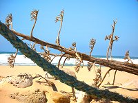 Algarve 3